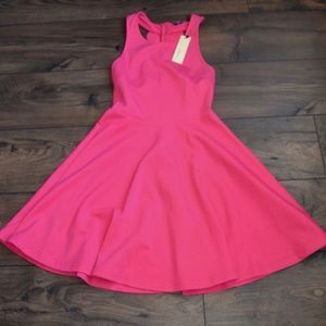 NWT Pink Fit n Flare Dress